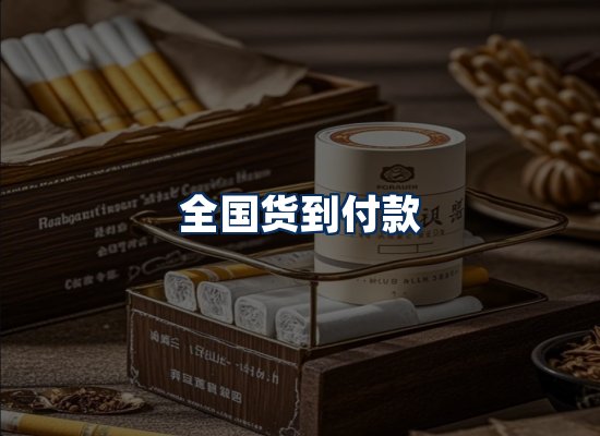 专业团队办公环境